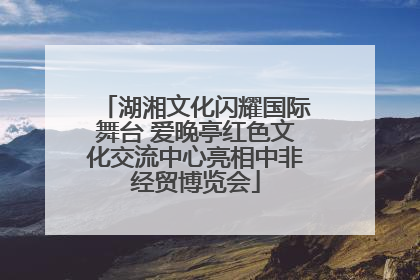 湖湘文化闪耀国际舞台 爱晚亭红色文化交流中心亮相中非经贸博览会