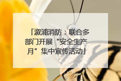 溆浦消防：联合多部门开展“安全生产月”集中宣传活动