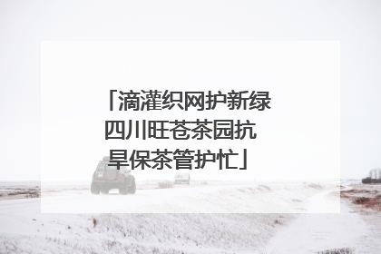 滴灌织网护新绿 四川旺苍茶园抗旱保茶管护忙