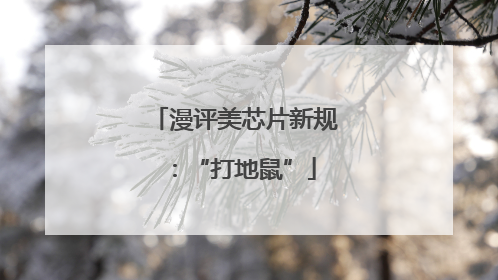 漫评美芯片新规：“打地鼠”