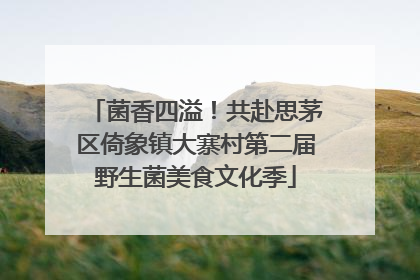 菌香四溢！共赴思茅区倚象镇大寨村第二届野生菌美食文化季