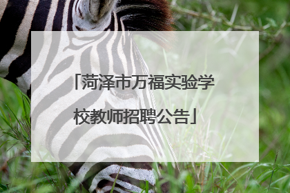 菏泽市万福实验学校教师招聘公告