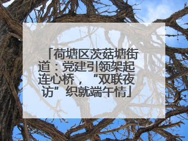 荷塘区茨菇塘街道：党建引领架起连心桥，“双联夜访”织就端午情