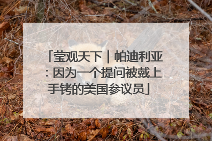 莹观天下｜帕迪利亚：因为一个提问被戴上手铐的美国参议员