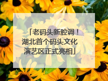 老码头新腔调！湖北首个码头文化演艺区正式亮相