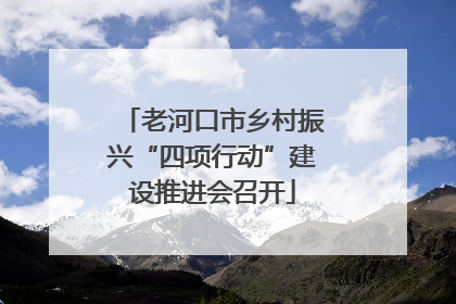 老河口市乡村振兴“四项行动”建设推进会召开