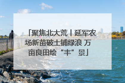 聚焦北大荒丨延军农场新苗破土铺绿浪 万亩良田绘“丰”景