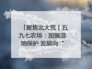 聚焦北大荒｜五九七农场：加强湿地保护 发展向“绿”而行