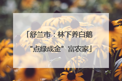 舒兰市：林下养白鹅 “点绿成金”富农家