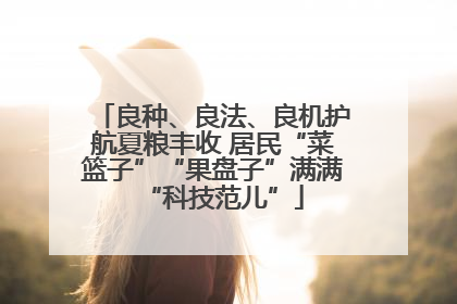 良种、良法、良机护航夏粮丰收 居民“菜篮子”“果盘子”满满“科技范儿”