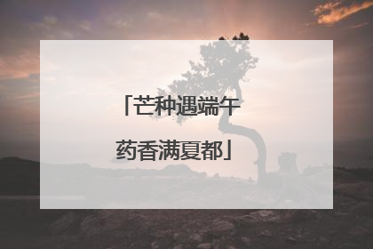 芒种遇端午 药香满夏都