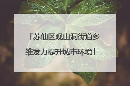 苏仙区观山洞街道多维发力提升城市环境