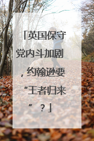 英国保守党内斗加剧，约翰逊要“王者归来”？