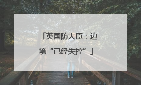 英国防大臣：边境“已经失控”