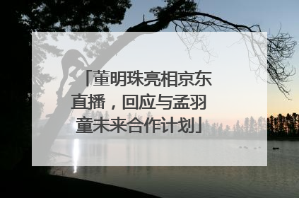董明珠亮相京东直播，回应与孟羽童未来合作计划