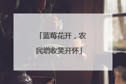 蓝莓花开，农民增收笑开怀