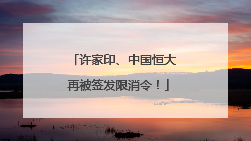 许家印、中国恒大再被签发限消令！