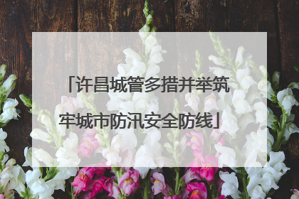 许昌城管多措并举筑牢城市防汛安全防线