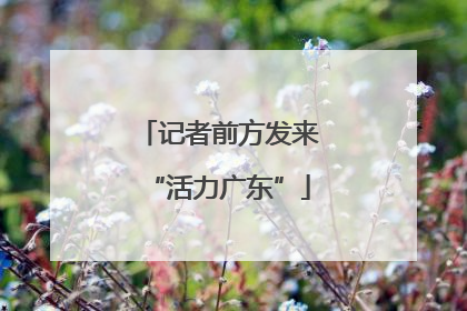 记者前方发来“活力广东”