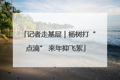 记者走基层｜杨树打“点滴” 来年抑飞絮