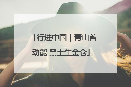 行进中国｜青山蓄动能 黑土生金仓