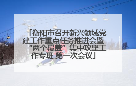 衡阳市召开新兴领域党建工作重点任务推进会暨“两个覆盖”集中攻坚工作专班 第一次会议