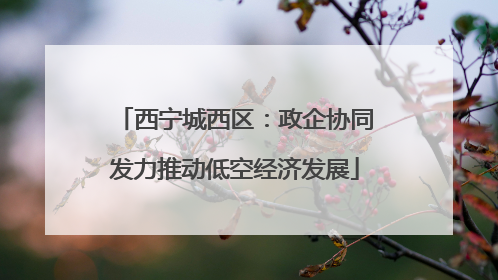 西宁城西区：政企协同发力推动低空经济发展