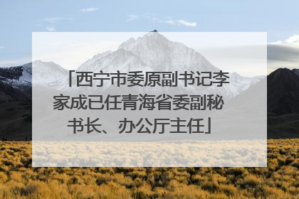 西宁市委原副书记李家成已任青海省委副秘书长、办公厅主任