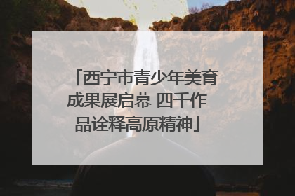 西宁市青少年美育成果展启幕 四千作品诠释高原精神