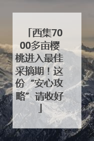 西集7000多亩樱桃进入最佳采摘期！这份“安心攻略”请收好