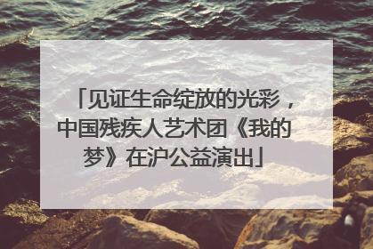 见证生命绽放的光彩，中国残疾人艺术团《我的梦》在沪公益演出