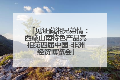 见证藏湘兄弟情：西藏山南特色产品亮相第四届中国-非洲经贸博览会