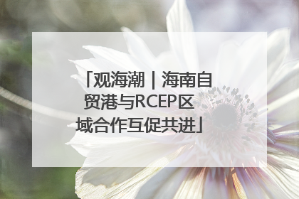 观海潮｜海南自贸港与RCEP区域合作互促共进