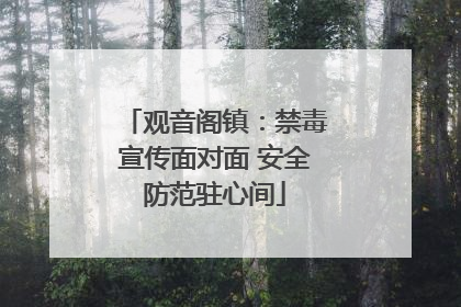 观音阁镇：禁毒宣传面对面 安全防范驻心间
