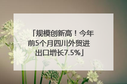 规模创新高！今年前5个月四川外贸进出口增长7.5%