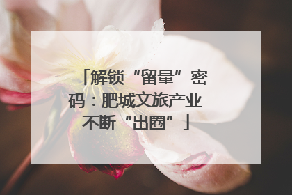 解锁“留量”密码：肥城文旅产业不断“出圈”
