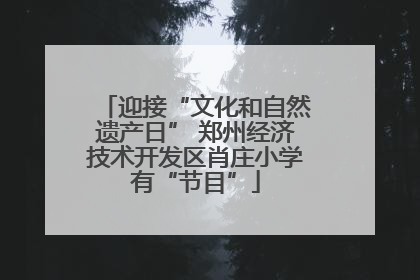 迎接“文化和自然遗产日” 郑州经济技术开发区肖庄小学有“节目”