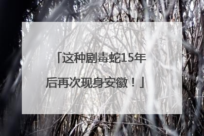 这种剧毒蛇15年后再次现身安徽！