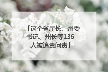 这个省厅长、州委书记、州长等136人被追责问责