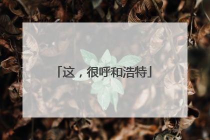 这，很呼和浩特