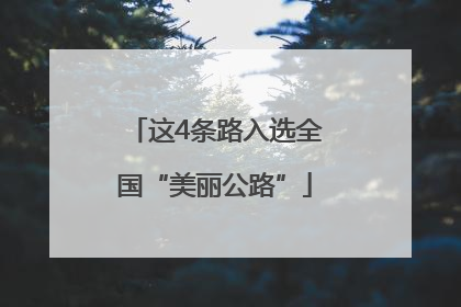 这4条路入选全国“美丽公路”