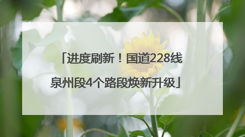 进度刷新！国道228线泉州段4个路段焕新升级