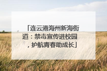 连云港海州新海街道：禁毒宣传进校园，护航青春助成长
