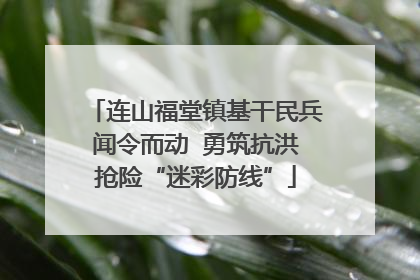 连山福堂镇基干民兵闻令而动  勇筑抗洪抢险“迷彩防线”