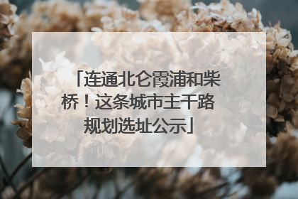 连通北仑霞浦和柴桥！这条城市主干路规划选址公示