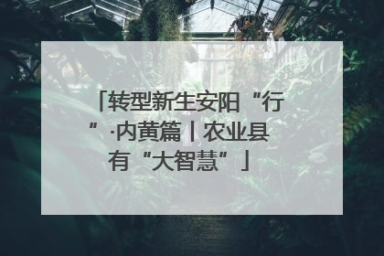 转型新生安阳“行”·内黄篇丨农业县有“大智慧”