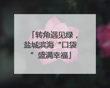 转角遇见绿，盐城滨海“口袋”盛满幸福