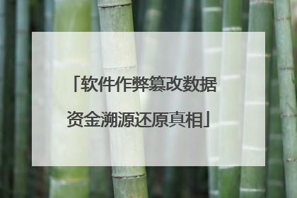 软件作弊篡改数据 资金溯源还原真相
