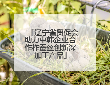 辽宁省贸促会助力中韩企业合作柞蚕丝创新深加工产品