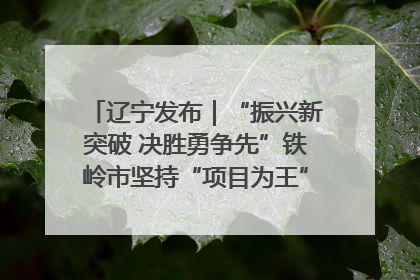 辽宁发布｜“振兴新突破 决胜勇争先”铁岭市坚持“项目为王”推进经济高质量发展